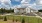 overview of dog park